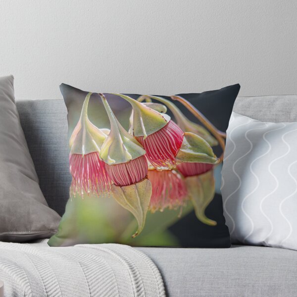 Item preview, Wing-Fruited Mallee Eucalyptus alatissima Macro – Fine Art Print designed and sold by MinzMarchStudio.