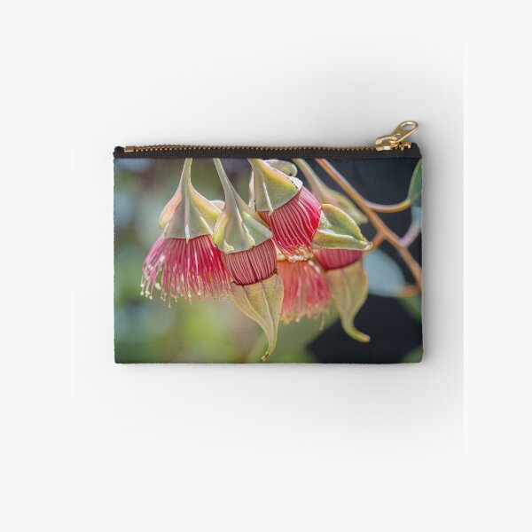 Item preview, Wing-Fruited Mallee Eucalyptus alatissima Macro – Fine Art Print designed and sold by MinzMarchStudio.