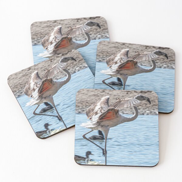 Item preview, Young pink flamingo taking flight in the Andean lagoon of Salta designed and sold by Keltoi-art.