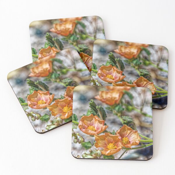Item preview, Orange desert flowers Puna Argentina macro close-up designed and sold by Keltoi-art.