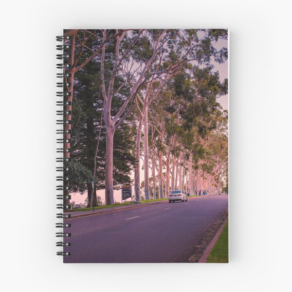 Item preview, Fraser Avenue Twilight Kings Park – Fine Art Print designed and sold by MinzMarchStudio.