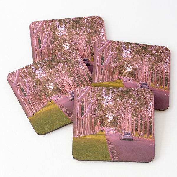 Item preview, Fraser Avenue Kings Park Sunset – Fine Art Print designed and sold by MinzMarchStudio.