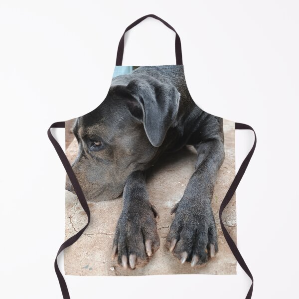 Item preview, Cute Cane Corso - Sand on Face Dog Portrait designed and sold by PicturePic.