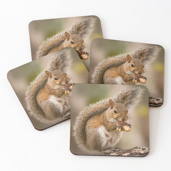 Item preview, Small wild animal cute Florida squirrel close-up designed and sold by Zina Stromberg.