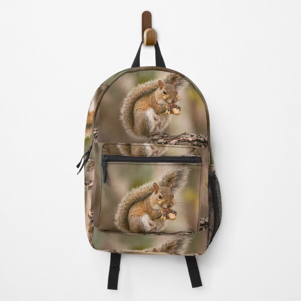 Item preview, Small wild animal cute Florida squirrel close-up designed and sold by Zina Stromberg.