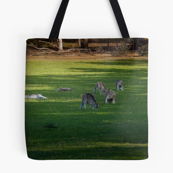 Item preview, Eastern Grey Kangaroos Grazing at Dusk – Fine Art Print designed and sold by MinzMarchStudio.