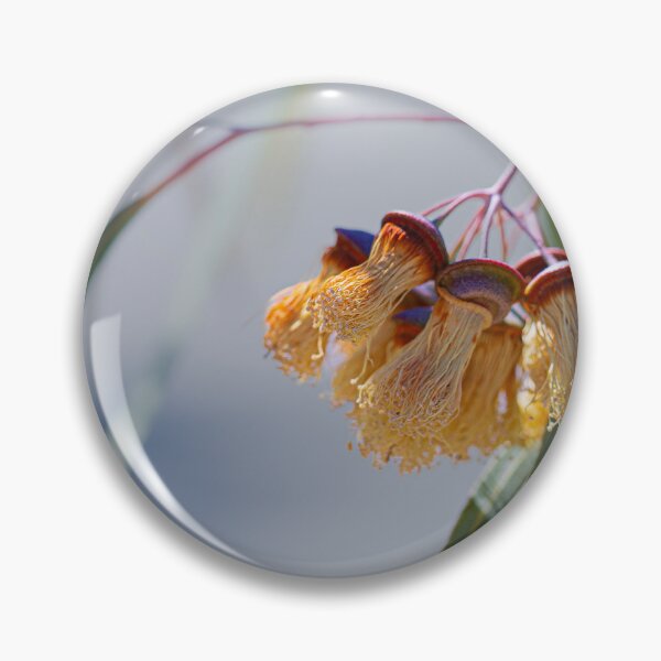 Item preview, Jingymia Mallee Eucalyptus Macro Photography – Fine Art Print designed and sold by MinzMarchStudio.