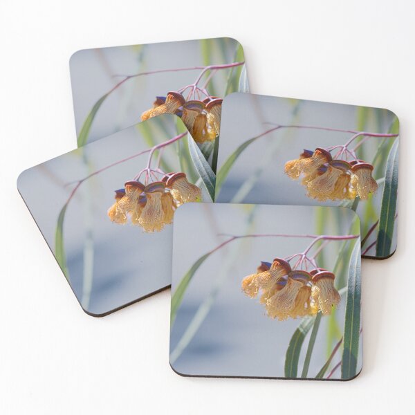 Item preview, Jingymia Mallee Eucalyptus Macro Photography – Fine Art Print designed and sold by MinzMarchStudio.