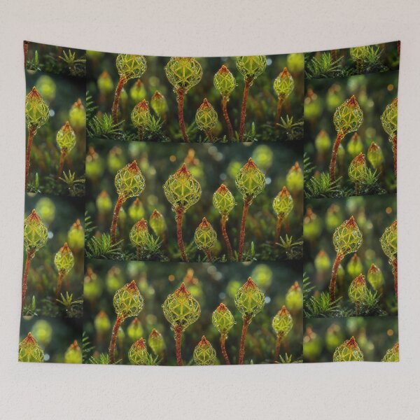 Item preview, Moss Sporophytes Sacred Geometry Dewdrops | Microcosmos designed and sold by monkeybusiness.pt.