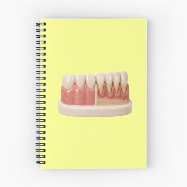 Item preview, Healthy Gums vs Gum Recession and Periodontal Disease – Dental Bone Loss Comparison designed and sold by RokaCircles.