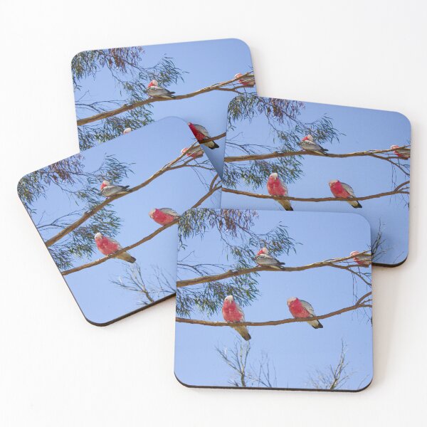 Item preview, Galah Cockatoos on Eucalyptus Branch - Rose and Azure - Fine Art Print designed and sold by MinzMarchStudio.
