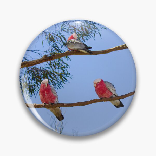 Item preview, Galah Cockatoos on Eucalyptus Branch - Rose and Azure - Fine Art Print designed and sold by MinzMarchStudio.