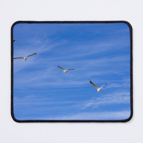 Item preview, Silver Gulls - Sea Gulls in Flight Skyward - Coastal Horizon - Fine Art Print designed and sold by MinzMarchStudio.