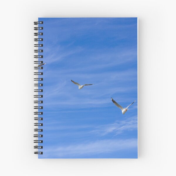 Item preview, Silver Gulls - Sea Gulls in Flight Skyward - Coastal Horizon - Fine Art Print designed and sold by MinzMarchStudio.