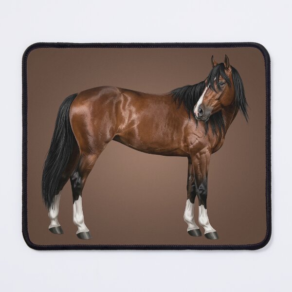 Item preview, The Adaev, a horse originating from Kazakhstan designed and sold by Cheval-de-coeur.