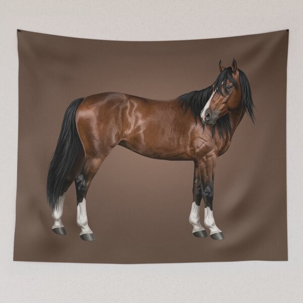 Item preview, The Adaev, a horse originating from Kazakhstan designed and sold by Cheval-de-coeur.