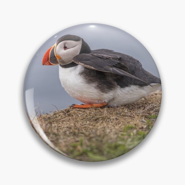 Item preview, Atlantic Puffin designed and sold by Eunice Gibb.