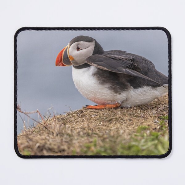 Item preview, Atlantic Puffin designed and sold by Eunice Gibb.
