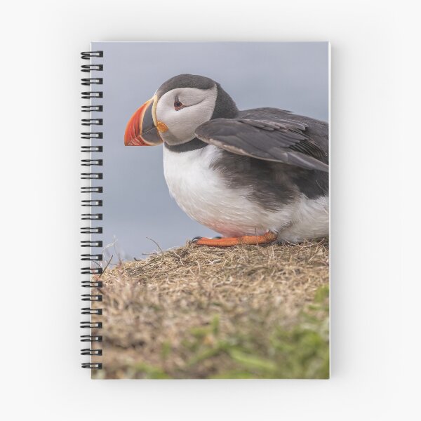 Item preview, Atlantic Puffin designed and sold by Eunice Gibb.