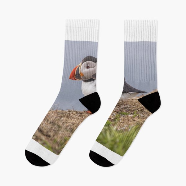 Item preview, Atlantic Puffin designed and sold by Eunice Gibb.