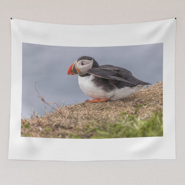 Item preview, Atlantic Puffin designed and sold by Eunice Gibb.