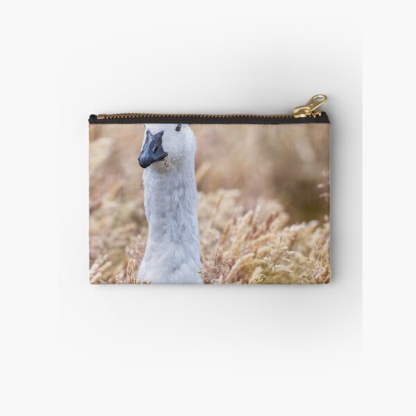Item preview, Male Upland Goose in Tall Grasses Falkland Islands designed and sold by PhotoArt by Joan Carroll.