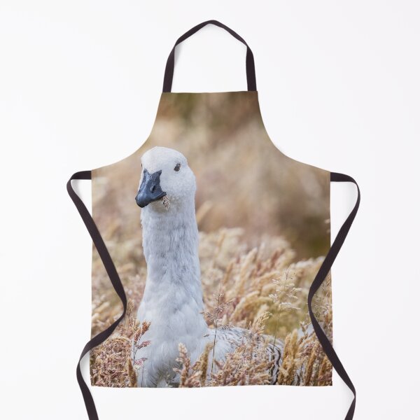 Item preview, Male Upland Goose in Tall Grasses Falkland Islands designed and sold by PhotoArt by Joan Carroll.