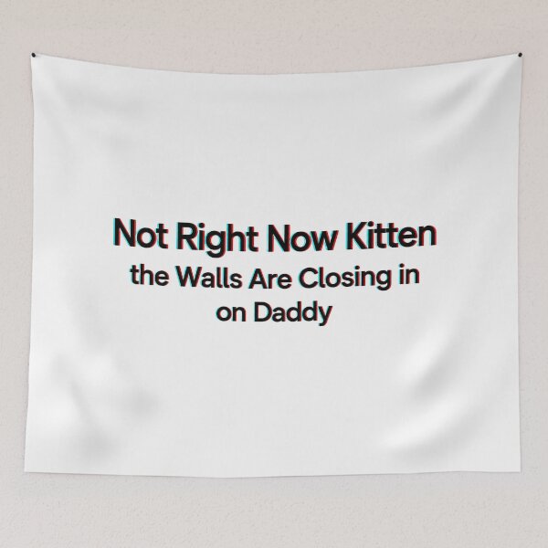 Item preview, Not Right Now Kitten The Walls Are Closing In On Daddy Funny Meme designed and sold by dartoffofo⭐⭐⭐⭐⭐.