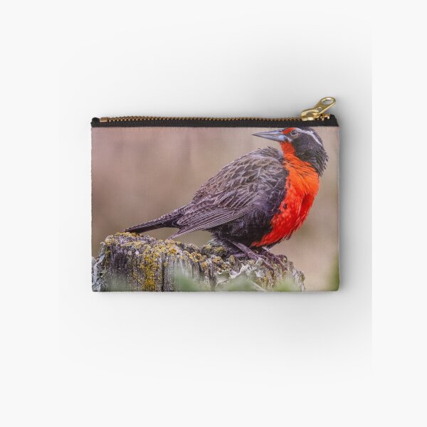 Item preview, Long Tailed Meadowlark Falkland Islands designed and sold by PhotoArt by Joan Carroll.