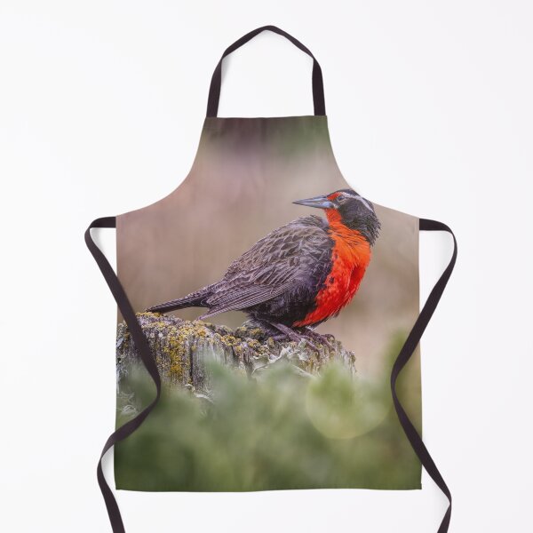 Item preview, Long Tailed Meadowlark Falkland Islands designed and sold by PhotoArt by Joan Carroll.