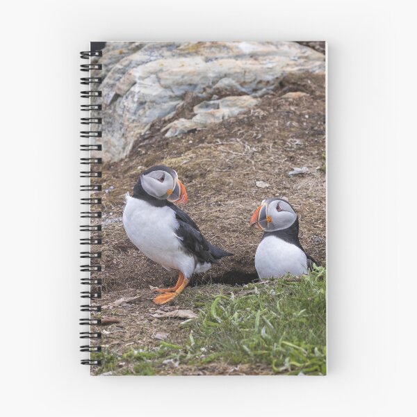 Item preview, Puffin Love designed and sold by Eunice Gibb.