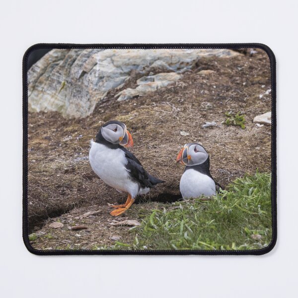 Item preview, Puffin Love designed and sold by Eunice Gibb.