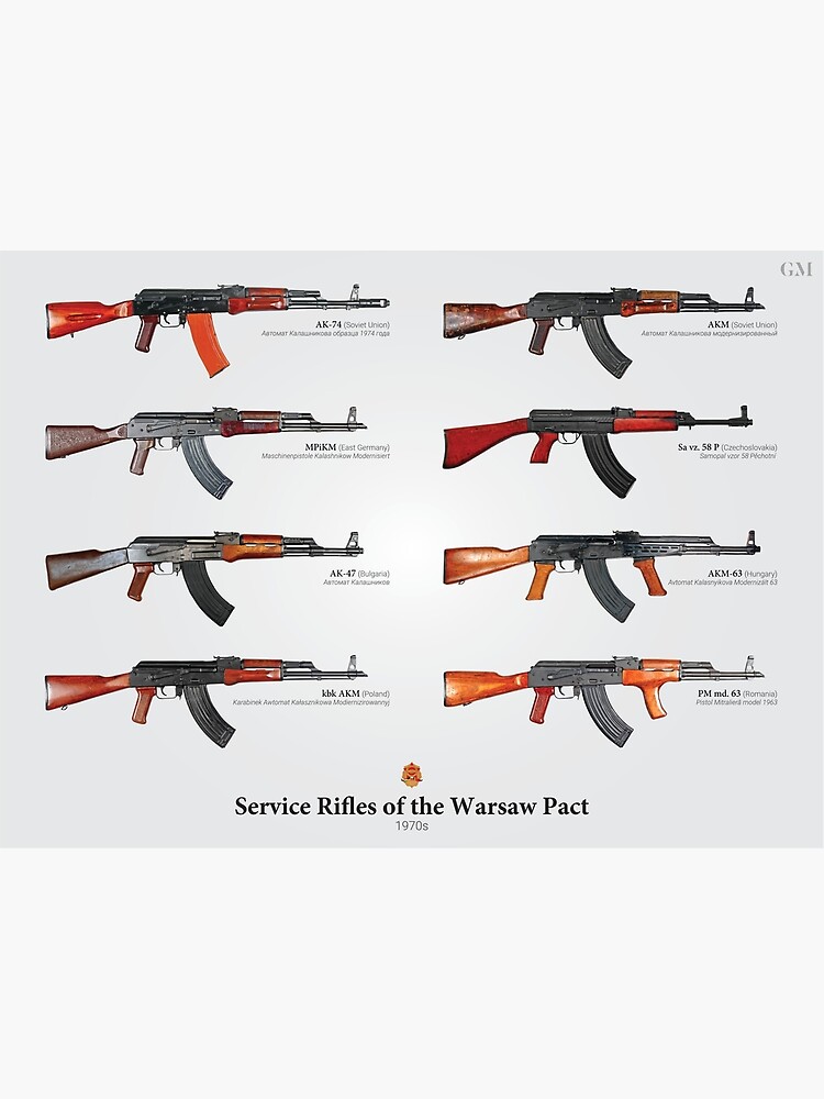 Disover Service Rifles of the Warsaw Pact Premium Matte Vertical Poster