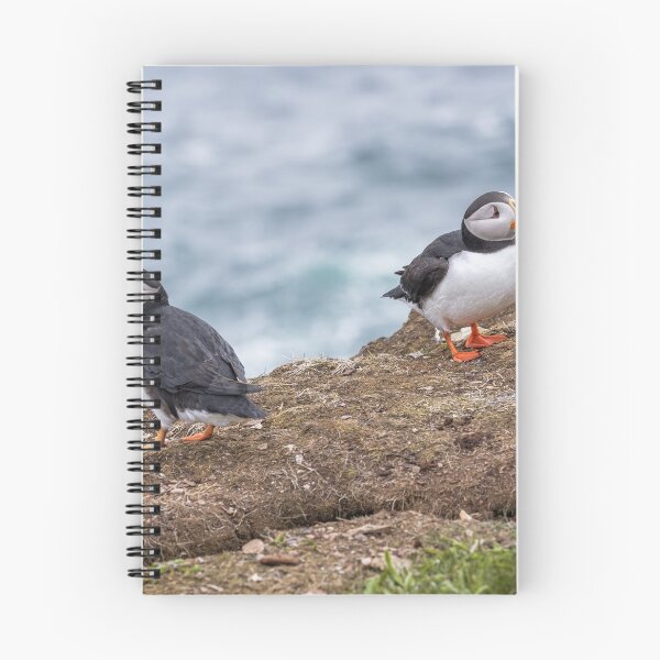 Item preview, Atlantic Puffins designed and sold by Eunice Gibb.