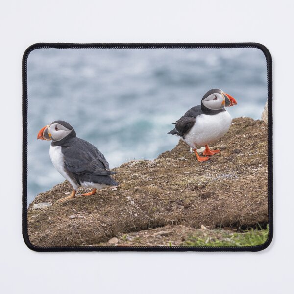 Item preview, Atlantic Puffins designed and sold by Eunice Gibb.