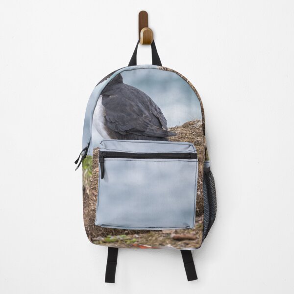 Item preview, Atlantic Puffins designed and sold by Eunice Gibb.