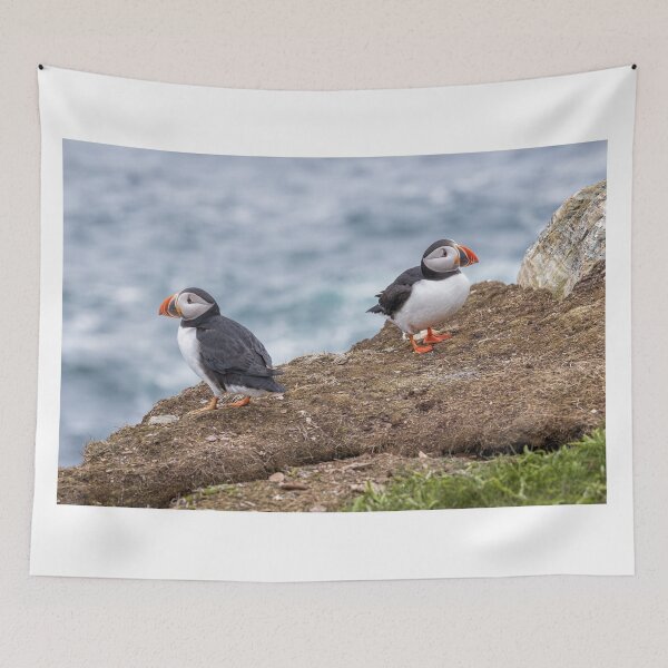 Item preview, Atlantic Puffins designed and sold by Eunice Gibb.