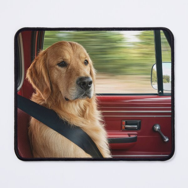Item preview, Golden Retriever Buckled Up with a Seatbelt designed and sold by Maria Dryfhout.