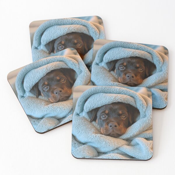 Item preview, Rottweiler in Blanket 01 designed and sold by Elisabeth Lucas.