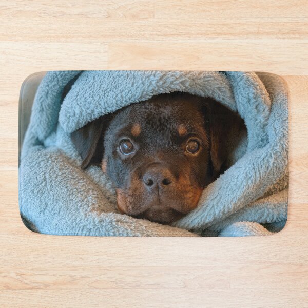 Item preview, Rottweiler in Blanket 01 designed and sold by Elisabeth Lucas.