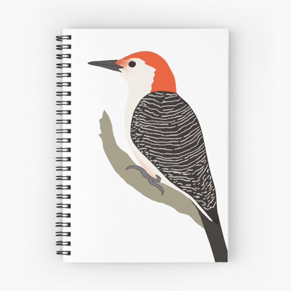 Item preview, Red Bellied Woodpecker Digital Bird Illustration designed and sold by FarnwirbelArt.