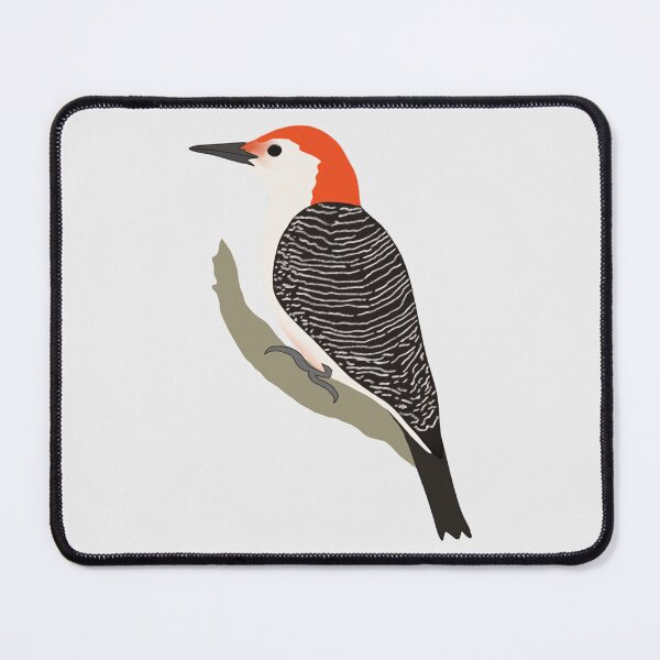 Item preview, Red Bellied Woodpecker Digital Bird Illustration designed and sold by FarnwirbelArt.