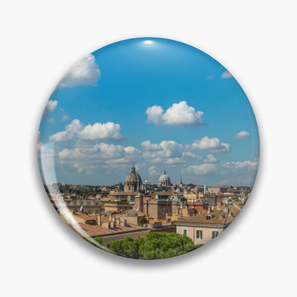 Item preview, Posing Gull in Rome designed and sold by JC Visualography.