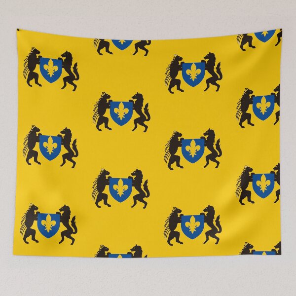 Item preview, Coat of arms of Blois designed and sold by Provinces de France.