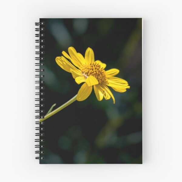 Item preview, Solitary Yellow Daisy designed and sold by Debra Martz.