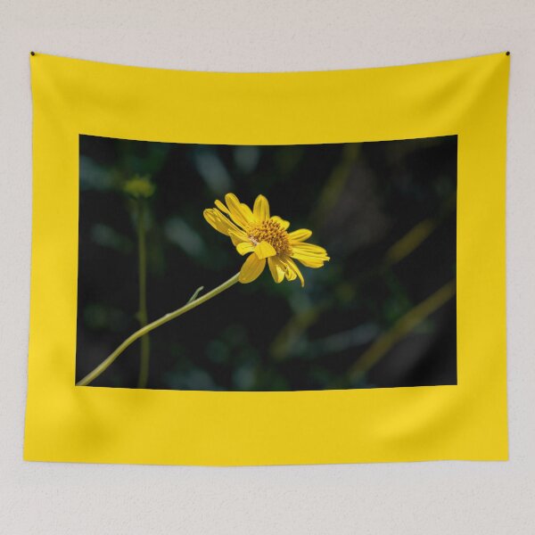Item preview, Solitary Yellow Daisy designed and sold by Debra Martz.