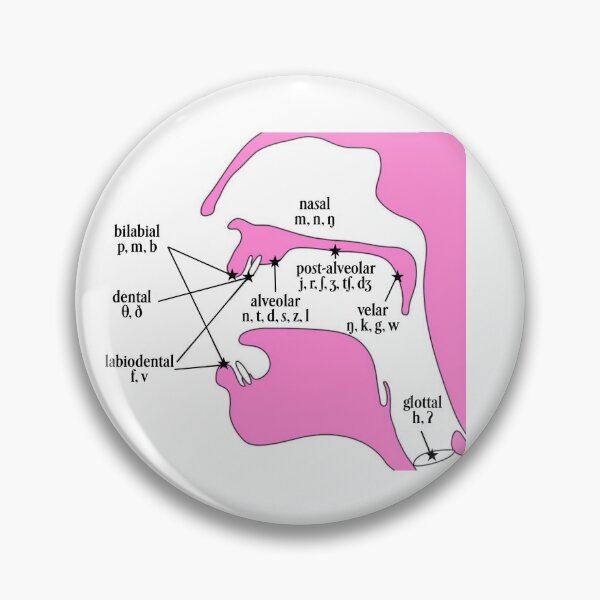 Item preview, Places of Articulation Pink designed and sold by bellaabreu.