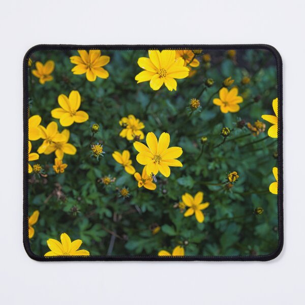 Item preview, Bright yellow Bidens flowers blooming in a garden designed and sold by RastislavS.