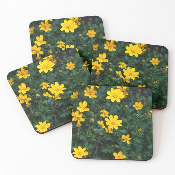 Item preview, Bright yellow Bidens flowers blooming in a garden designed and sold by RastislavS.