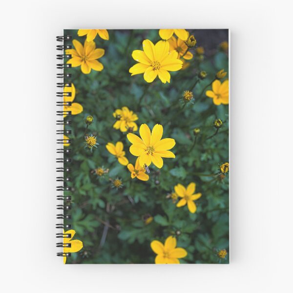 Item preview, Bright yellow Bidens flowers blooming in a garden designed and sold by RastislavS.